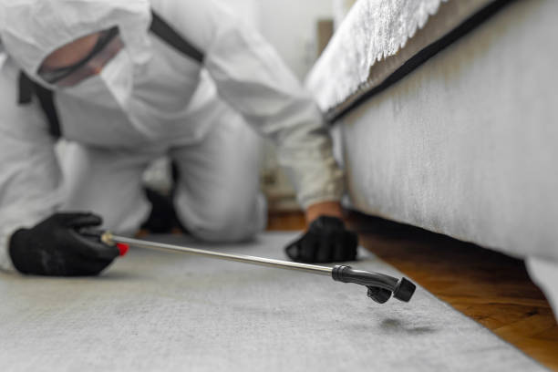 Professional Pest Control technician working in Hand County County, SD